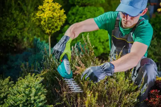 landscaping services Massillon